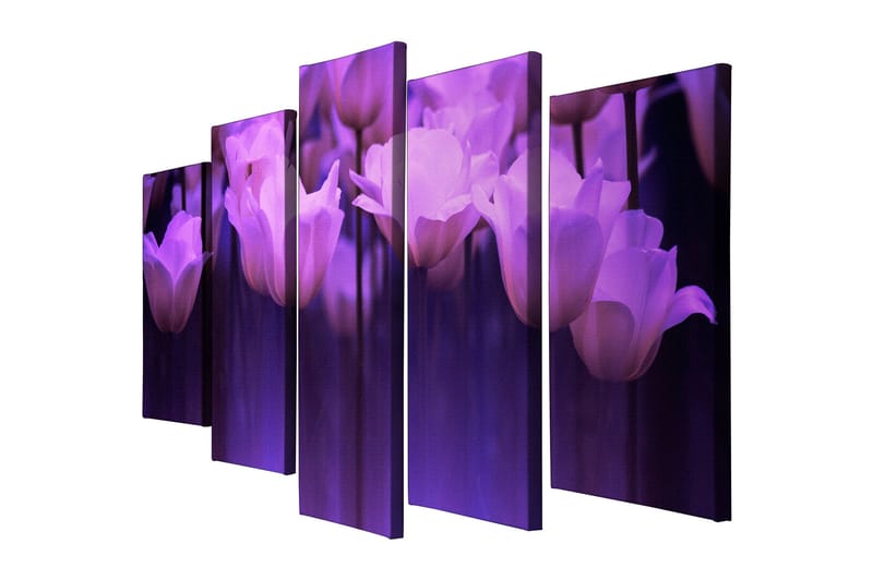 Dekorativ Canvastavla 5-Delar 70x20 cm - Flerfärgad - Inredning & dekor - Tavlor & konst - Canvastavla