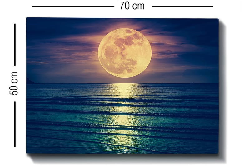 Dekorativ Canvastavla 50x70 cm - Flerfärgad - Inredning & dekor - Tavlor & konst - Canvastavla