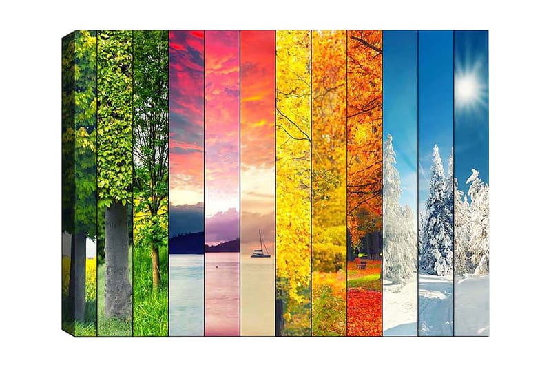 Dekorativ Canvastavla 50x70 cm - Flerfärgad - Inredning & dekor - Tavlor & konst - Canvastavla