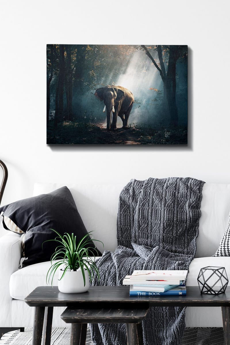 Dekorativ Canvastavla 50x70 cm - Flerfärgad - Inredning & dekor - Tavlor & konst - Canvastavla