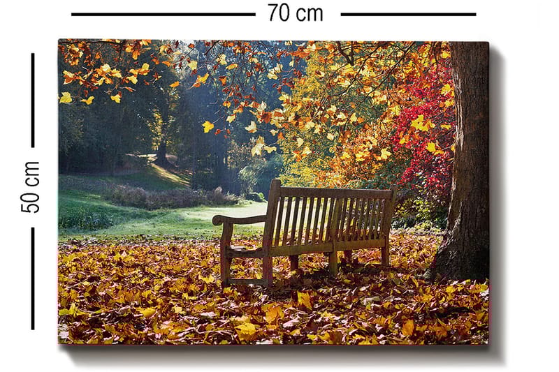Dekorativ Canvastavla 50x70 cm - Flerfärgad - Inredning & dekor - Tavlor & konst - Canvastavla