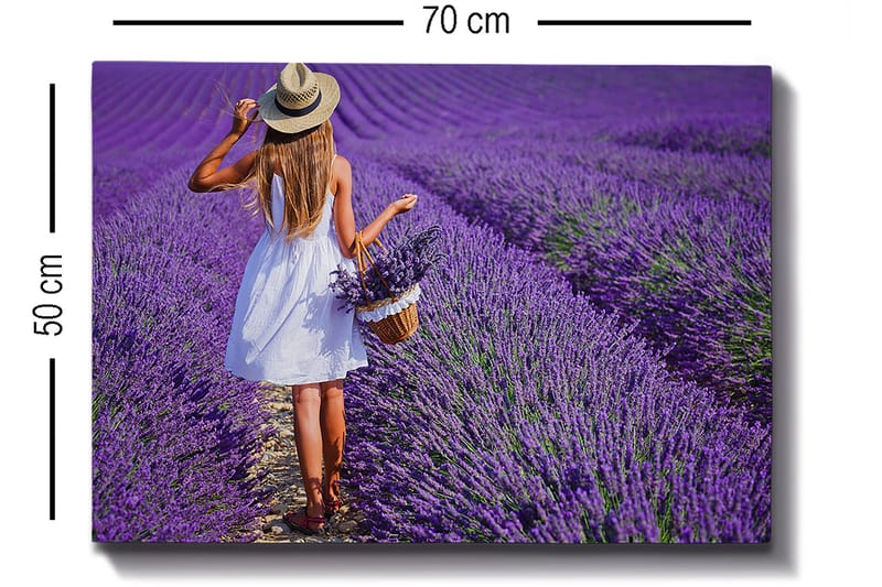 Dekorativ Canvastavla 50x70 cm - Flerfärgad - Inredning & dekor - Tavlor & konst - Canvastavla