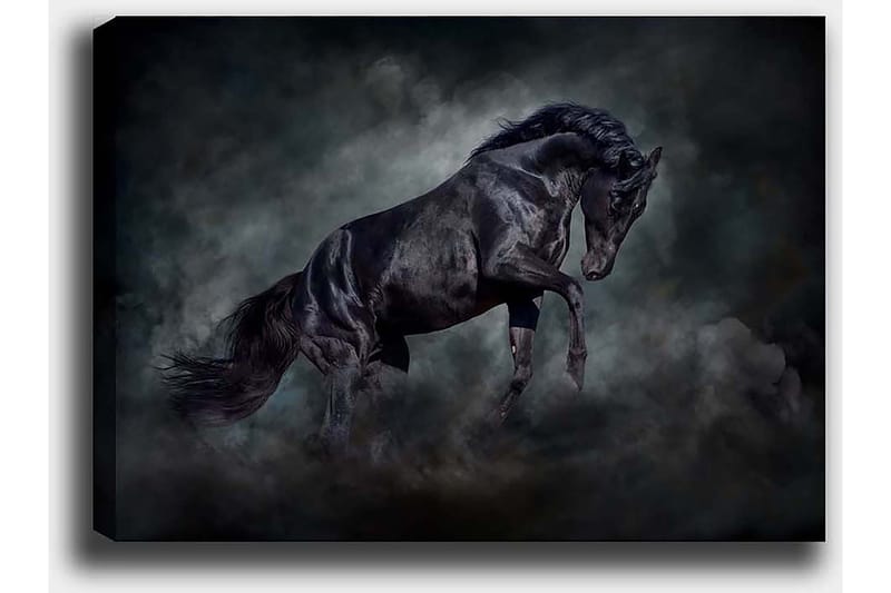 DEKORATIV CANVASTAVLA 50x70 cm Flerfärgad - Inredning & dekor - Tavlor & konst - Canvastavla