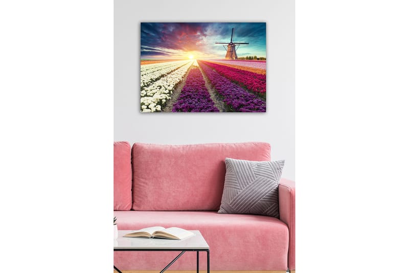 DEKORATIV CANVASTAVLA 50x70 cm Flerfärgad - Inredning & dekor - Tavlor & konst - Canvastavla