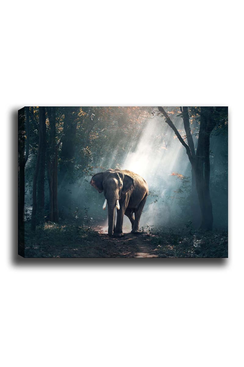 DEKORATIV CANVASTAVLA 50x70 cm Flerfärgad - Inredning & dekor - Tavlor & konst - Canvastavla