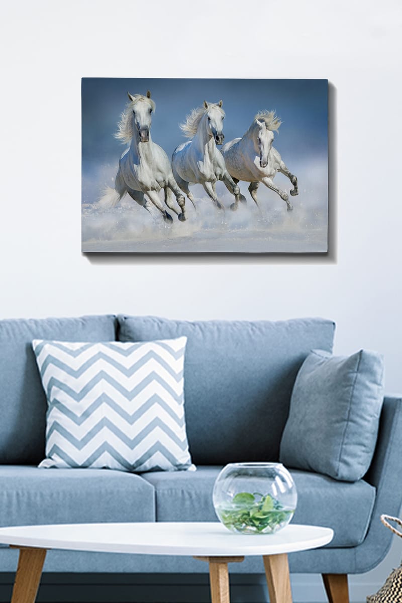 DEKORATIV CANVASTAVLA 50x70 cm Flerfärgad - Inredning & dekor - Tavlor & konst - Canvastavla
