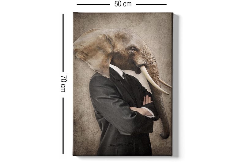 DEKORATIV CANVASTAVLA 50x70 cm Flerfärgad - Inredning & dekor - Tavlor & konst - Canvastavla