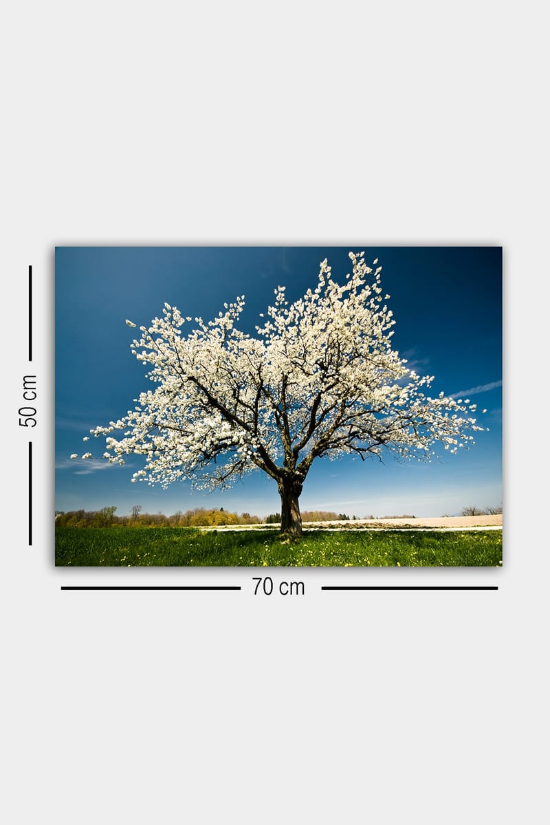 DEKORATIV CANVASTAVLA 50x70 cm Flerfärgad - Inredning & dekor - Tavlor & konst - Canvastavla