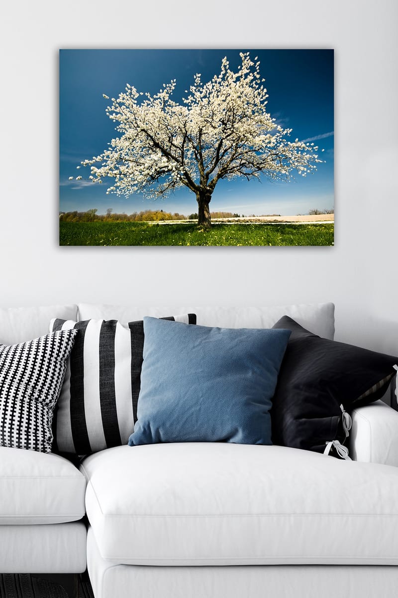 DEKORATIV CANVASTAVLA 50x70 cm Flerfärgad - Inredning & dekor - Tavlor & konst - Canvastavla