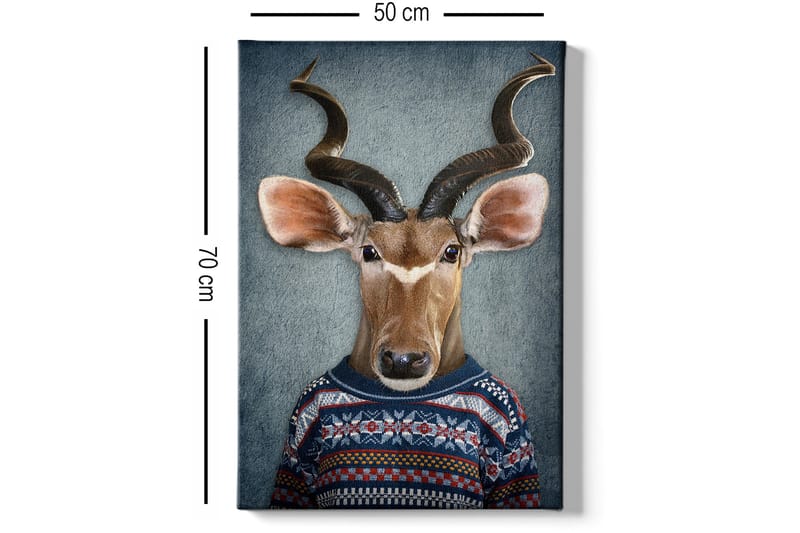 DEKORATIV CANVASTAVLA 50x70 cm Flerfärgad - Inredning & dekor - Tavlor & konst - Canvastavla