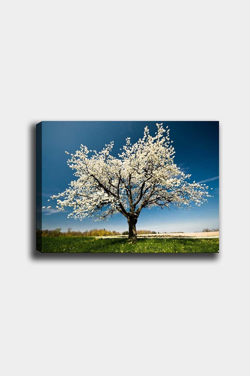 Dekorativ Canvastavla 50x70 cm - Flerfärgad - Inredning & dekor - Tavlor & konst - Canvastavla