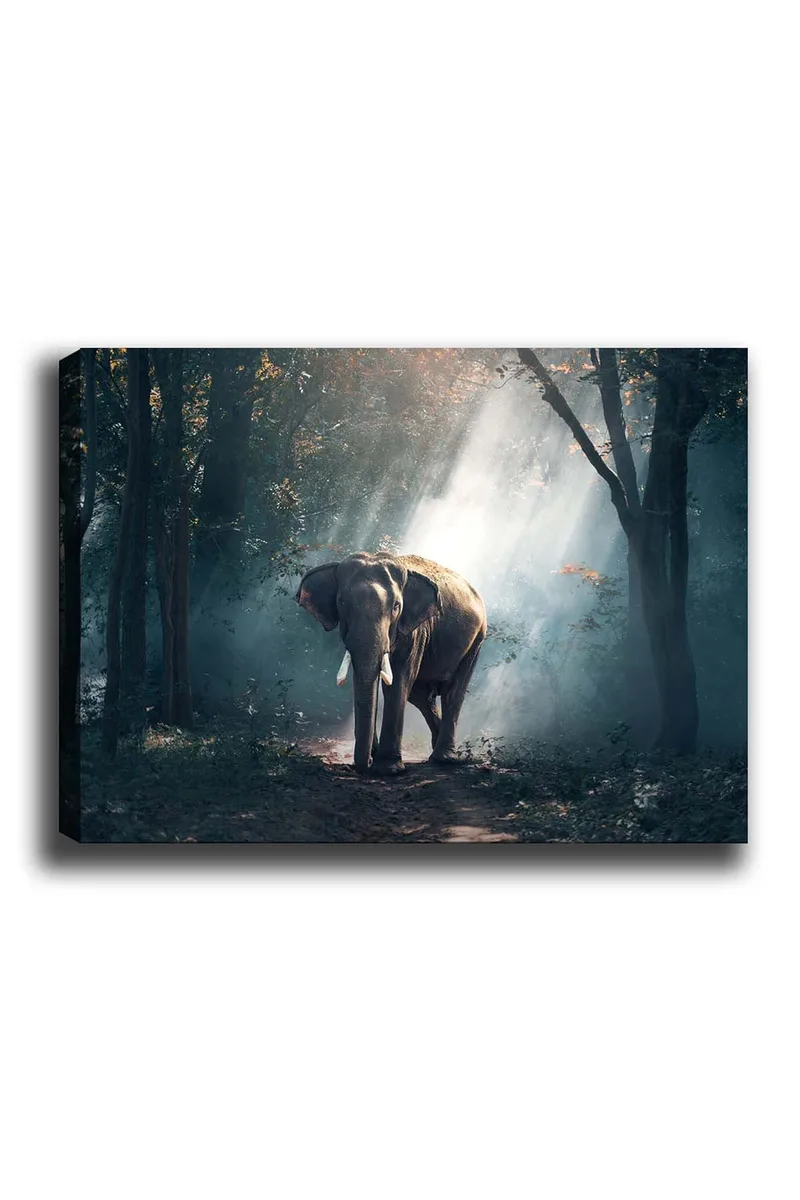 Dekorativ Canvastavla 50x70 cm, Flerfärgad