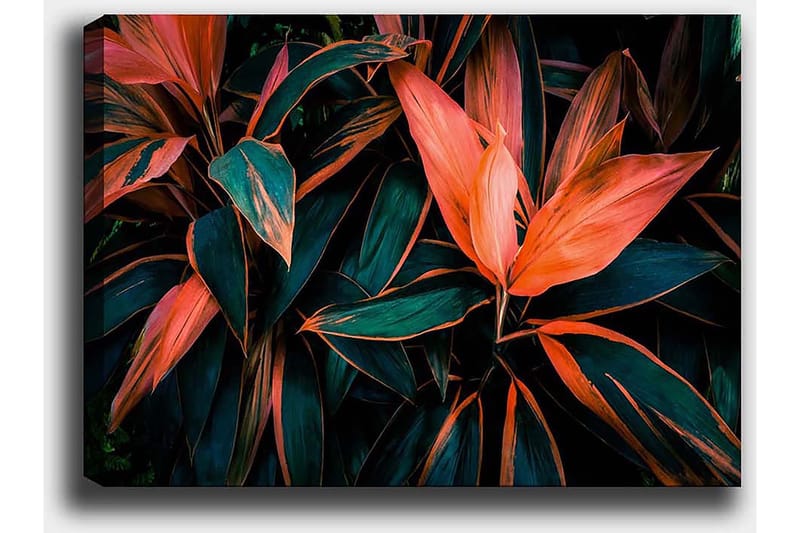 Dekorativ Canvastavla 50x70 cm - Flerfärgad - Inredning & dekor - Tavlor & konst - Canvastavla