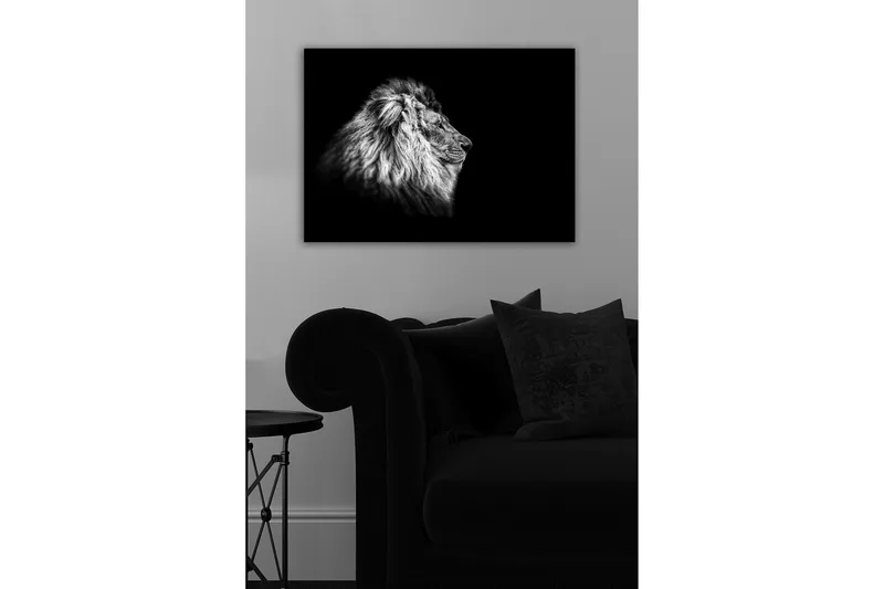 Dekorativ Canvastavla 50x70 cm, Flerfärgad