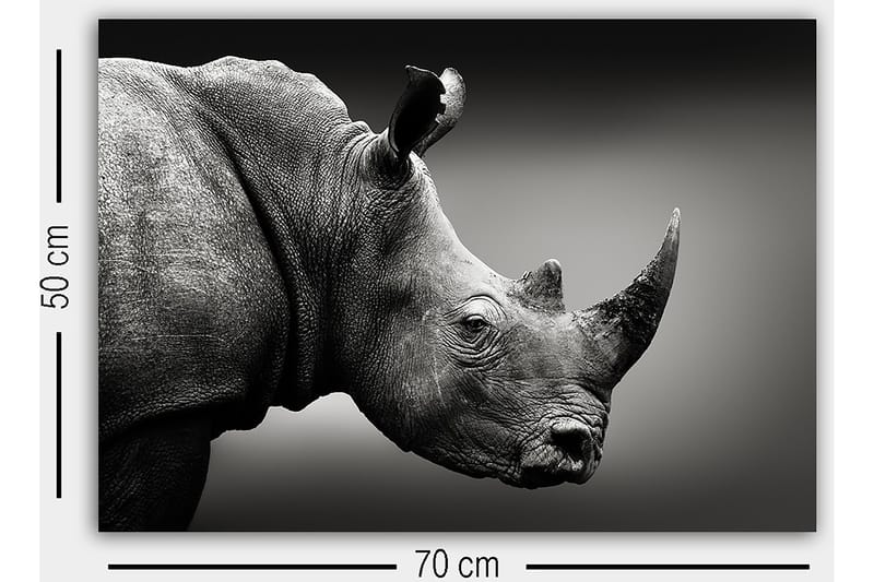 Dekorativ Canvastavla 50x70 cm - Flerfärgad - Inredning & dekor - Tavlor & konst - Canvastavla