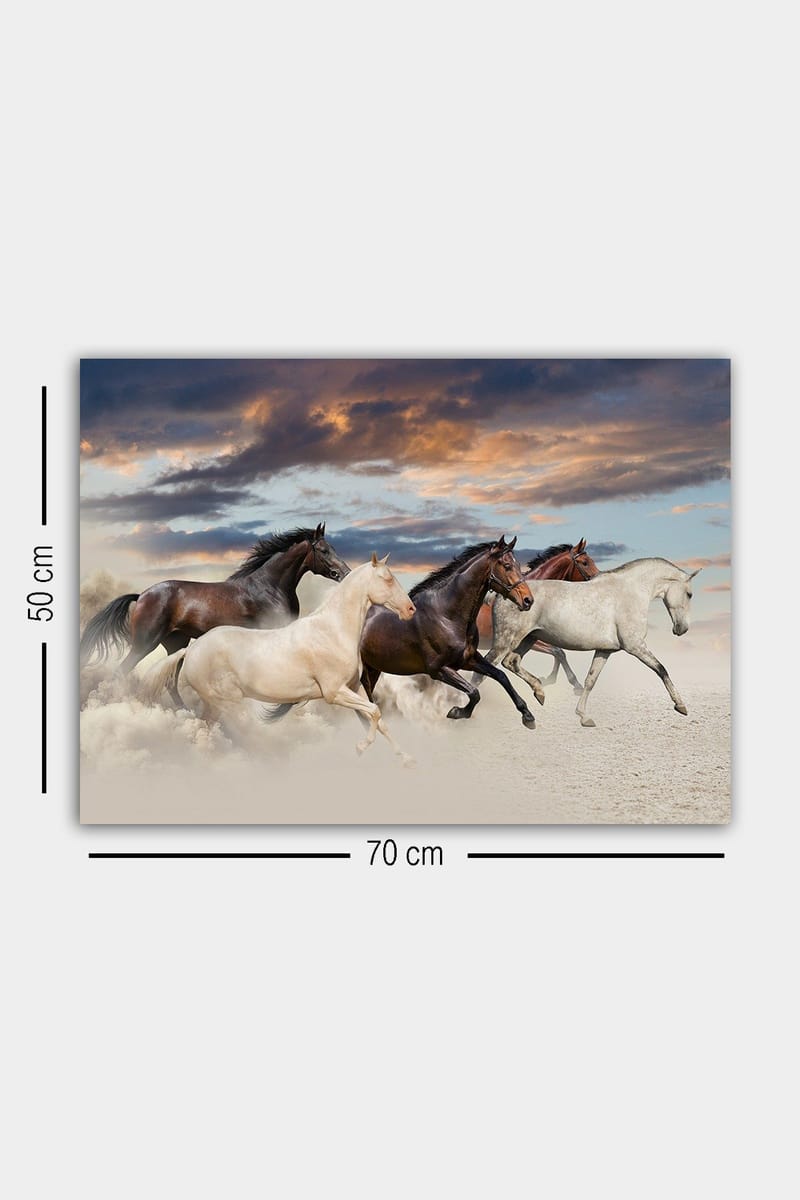 Dekorativ Canvastavla 50x70 cm - Flerfärgad - Inredning & dekor - Tavlor & konst - Canvastavla