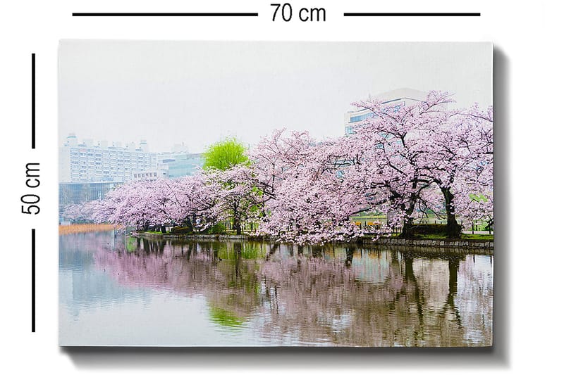 Dekorativ Canvastavla 50x70 cm - Flerfärgad - Inredning & dekor - Tavlor & konst - Canvastavla