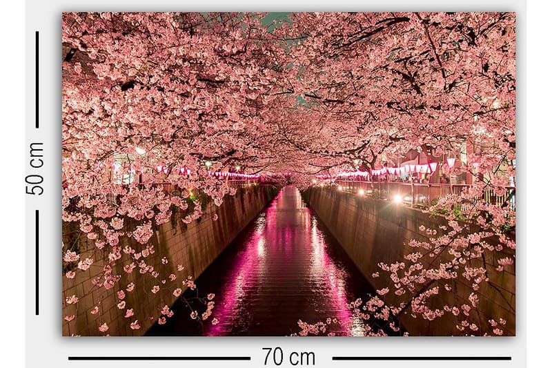 Dekorativ Canvastavla 50x70 cm - Flerfärgad - Inredning & dekor - Tavlor & konst - Canvastavla