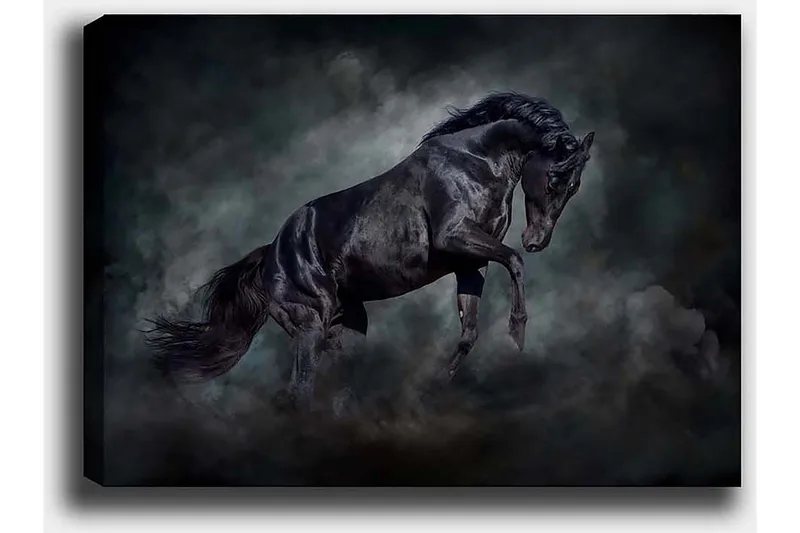 Dekorativ Canvastavla 50x70 cm - Flerfärgad - Inredning & dekor - Tavlor & konst - Canvastavla