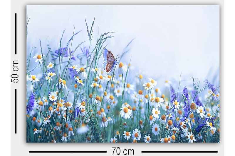 Dekorativ Canvastavla 50x70 cm - Flerfärgad - Inredning & dekor - Tavlor & konst - Canvastavla