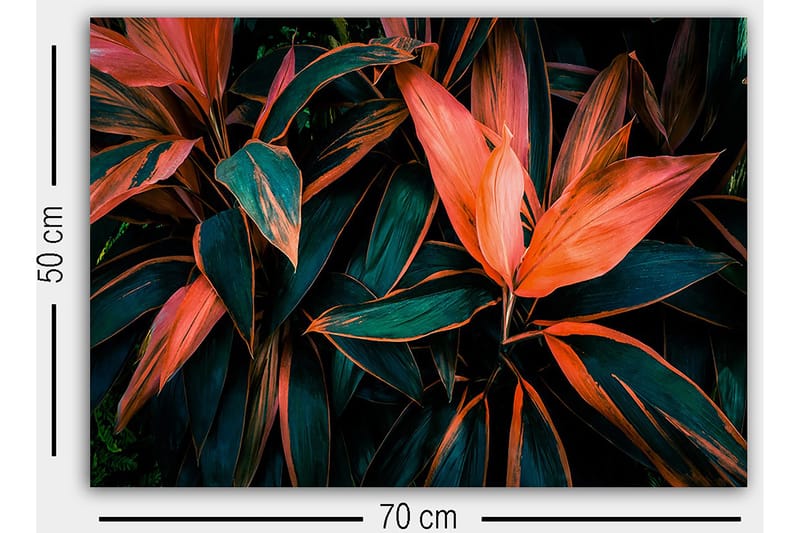 Dekorativ Canvastavla 50x70 cm - Flerfärgad - Inredning & dekor - Tavlor & konst - Canvastavla