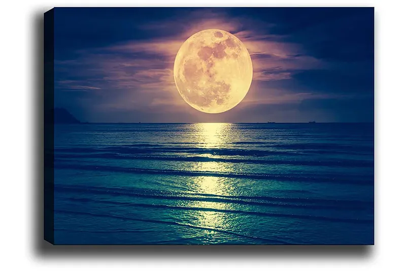 Dekorativ Canvastavla 50x70 cm - Flerfärgad - Inredning & dekor - Tavlor & konst - Canvastavla