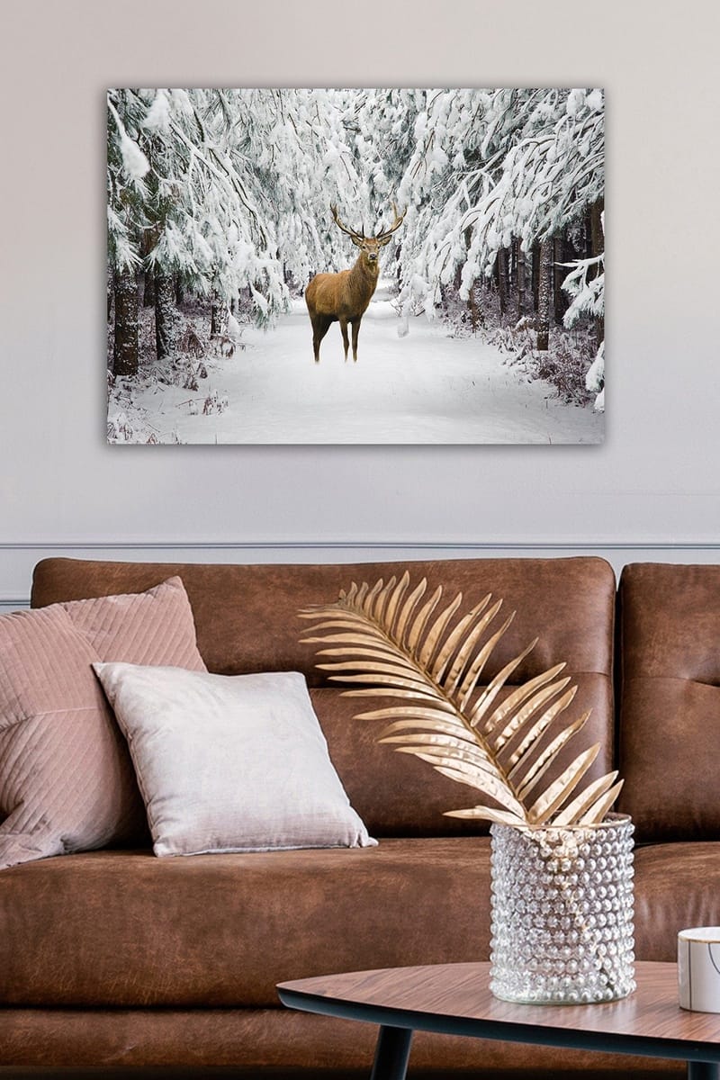 Dekorativ Canvastavla 50x70 cm - Flerfärgad - Inredning & dekor - Tavlor & konst - Canvastavla