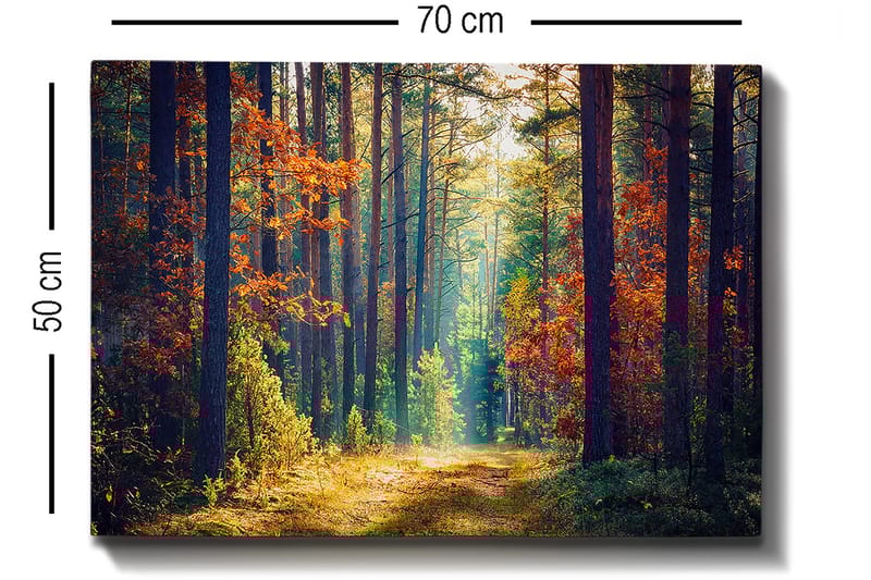 Dekorativ Canvastavla 50x70 cm - Flerfärgad - Inredning & dekor - Tavlor & konst - Canvastavla