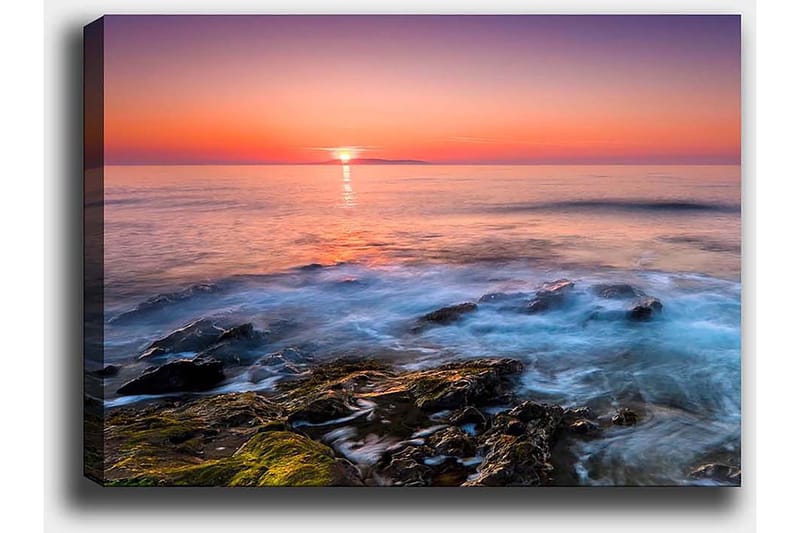 Dekorativ Canvastavla 50x70 cm - Flerfärgad - Inredning & dekor - Tavlor & konst - Canvastavla