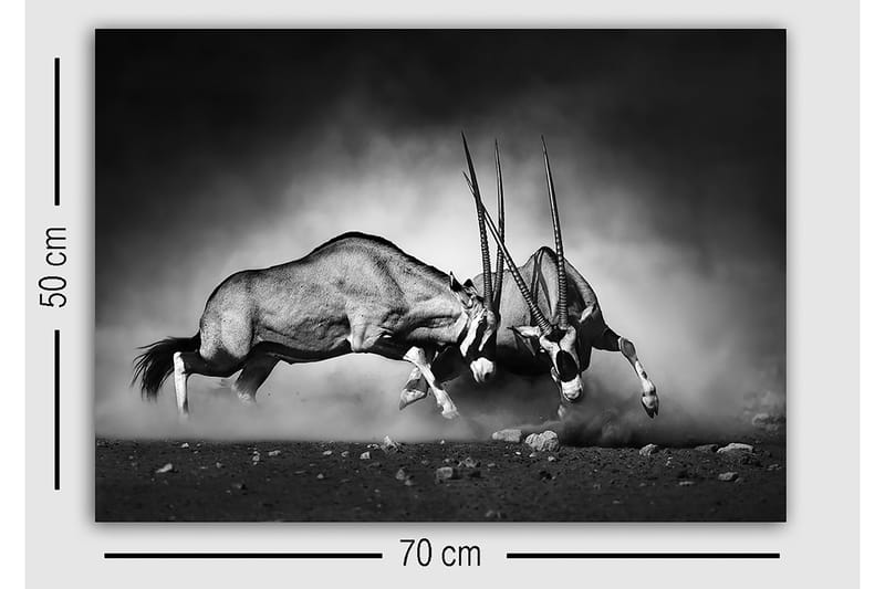 Dekorativ Canvastavla 50x70 cm - Flerfärgad - Inredning & dekor - Tavlor & konst - Canvastavla