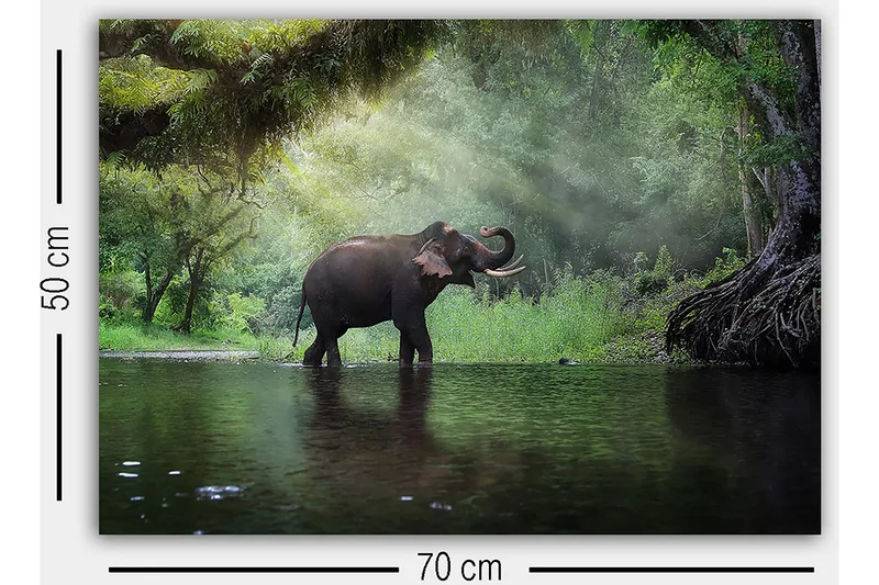 Dekorativ Canvastavla 50x70 cm - Flerfärgad - Inredning & dekor - Tavlor & konst - Canvastavla