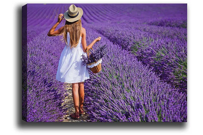 Dekorativ Canvastavla 50x70 cm - Flerfärgad - Inredning & dekor - Tavlor & konst - Canvastavla