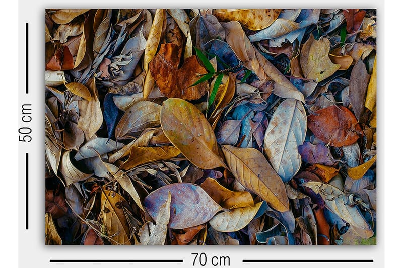 Dekorativ Canvastavla 50x70 cm - Flerfärgad - Inredning & dekor - Tavlor & konst - Canvastavla