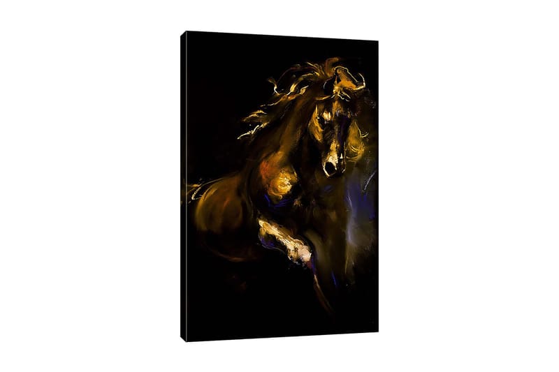 Dekorativ Canvastavla 50x70 cm, Flerfärgad