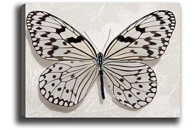 Dekorativ Canvastavla 50x70 cm - Flerfärgad - Inredning & dekor - Tavlor & konst - Canvastavla