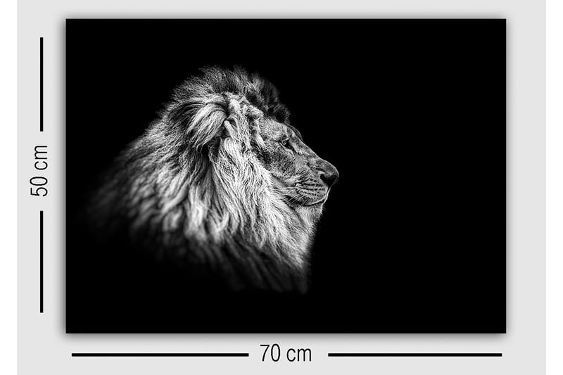 Dekorativ Canvastavla 50x70 cm - Flerfärgad - Inredning & dekor - Tavlor & konst - Canvastavla