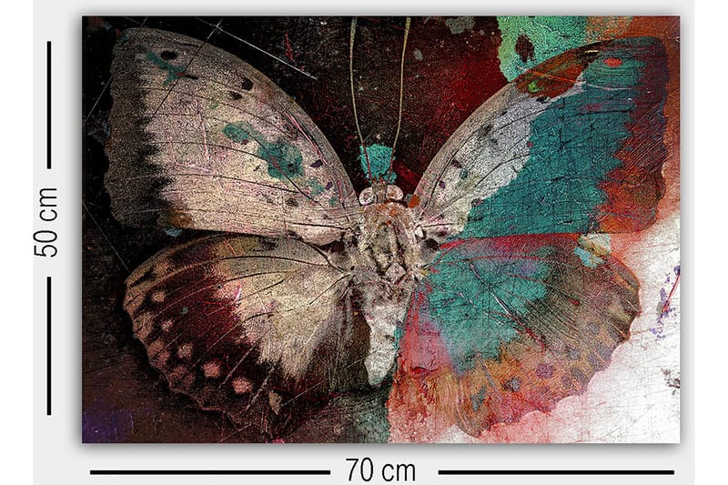 Dekorativ Canvastavla 50x70 cm - Flerfärgad - Inredning & dekor - Tavlor & konst - Canvastavla