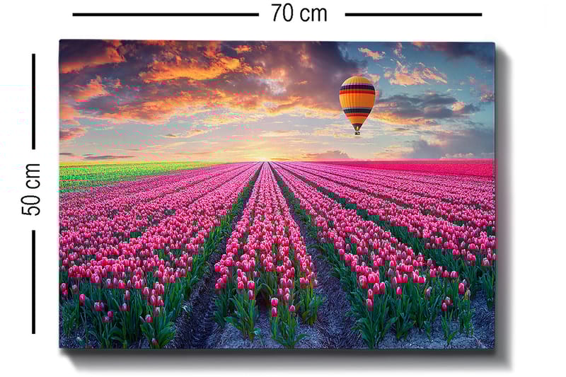 Dekorativ Canvastavla 50x70 cm - Flerfärgad - Inredning & dekor - Tavlor & konst - Canvastavla