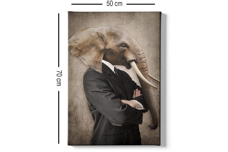 Dekorativ Canvastavla 50x70 cm - Flerfärgad - Inredning & dekor - Tavlor & konst - Canvastavla