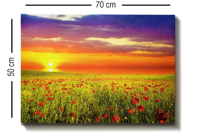Dekorativ Canvastavla 50x70 cm - Flerfärgad - Inredning & dekor - Tavlor & konst - Canvastavla