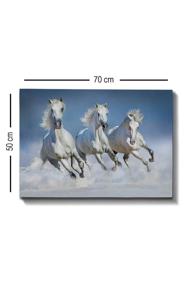 Dekorativ Canvastavla 50x70 cm - Flerfärgad - Inredning & dekor - Tavlor & konst - Canvastavla