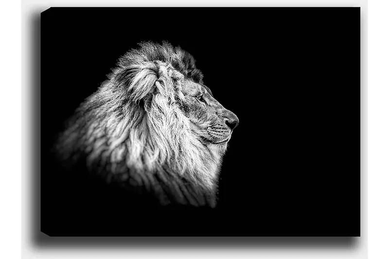 Dekorativ Canvastavla 50x70 cm - Flerfärgad - Inredning & dekor - Tavlor & konst - Canvastavla