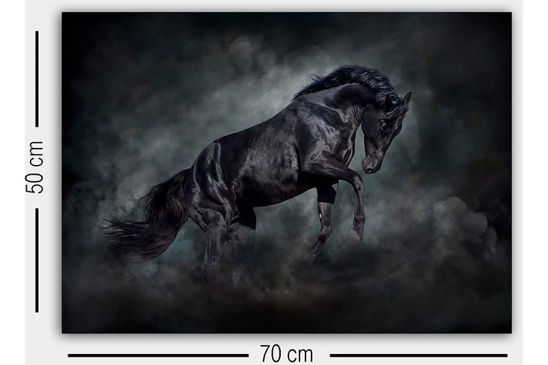 Dekorativ Canvastavla 50x70 cm - Flerfärgad - Inredning & dekor - Tavlor & konst - Canvastavla