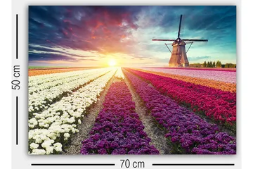 Dekorativ Canvastavla 50x70 cm - Flerfärgad - Inredning & dekor - Tavlor & konst - Canvastavla