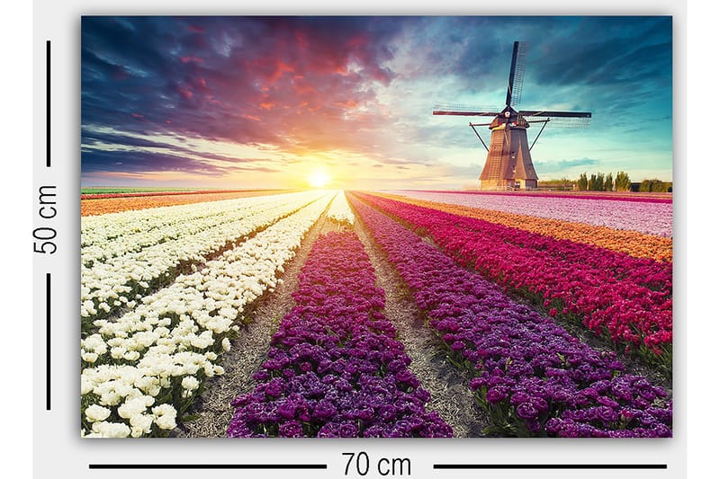 Dekorativ Canvastavla 50x70 cm - Flerfärgad - Inredning & dekor - Tavlor & konst - Canvastavla