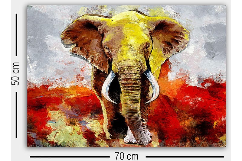 Dekorativ Canvastavla 50x70 cm - Flerfärgad - Inredning & dekor - Tavlor & konst - Canvastavla