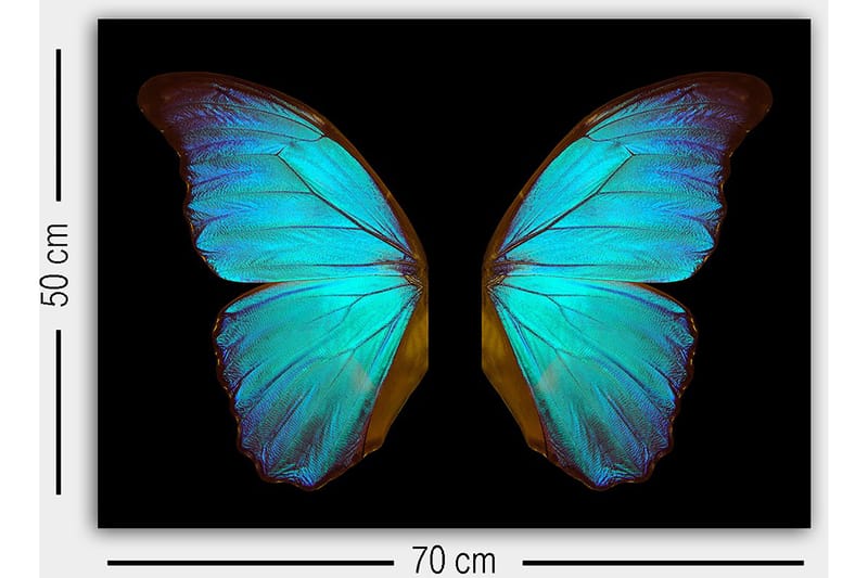 Dekorativ Canvastavla 50x70 cm - Flerfärgad - Inredning & dekor - Tavlor & konst - Canvastavla