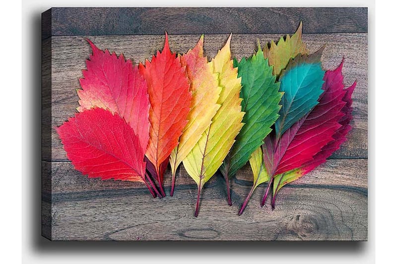 Dekorativ Canvastavla 50x70 cm - Flerfärgad - Inredning & dekor - Tavlor & konst - Canvastavla