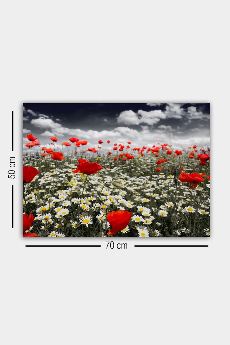 Dekorativ Canvastavla 50x70 cm - Flerfärgad - Inredning & dekor - Tavlor & konst - Canvastavla