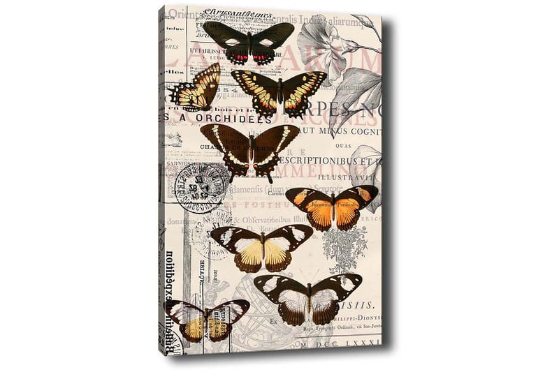 Dekorativ Canvastavla 50x70 cm - Flerfärgad - Inredning & dekor - Tavlor & konst - Canvastavla